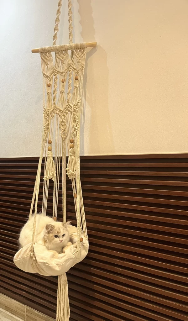 macrame handmade cat swing boho bohemian